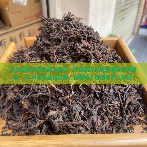 怎么查普洱茶的好坏鉴别