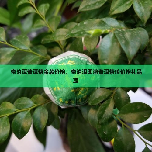 帝泊洱普洱茶金装