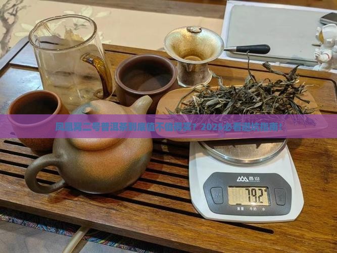 凤凰窝二号普洱茶