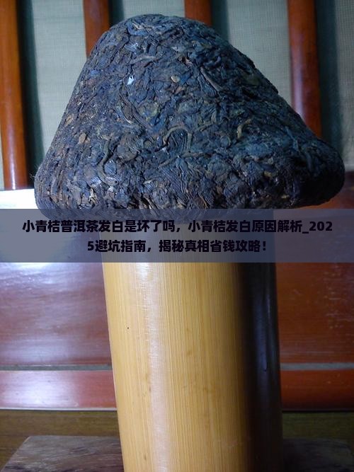 小青桔普洱茶发白是坏了吗