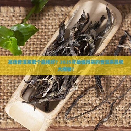 高档普洱茶哪个品牌好
