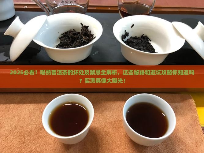 喝熟普洱茶的坏处及禁忌