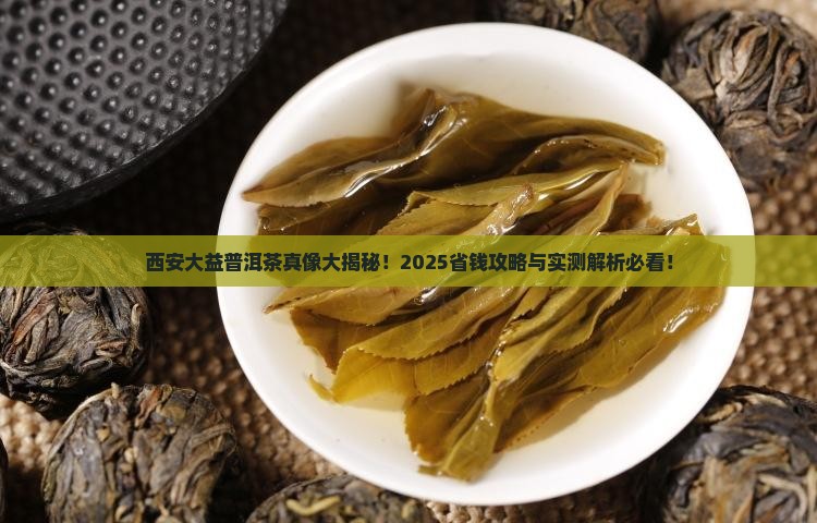 西安大益普洱茶大事典