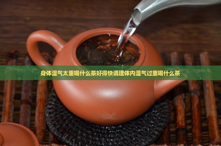 身体湿气太重喝什么茶好