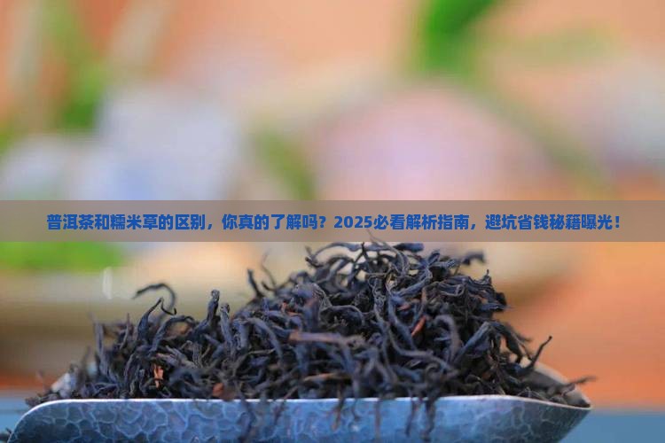 普洱茶和糯米草的区别