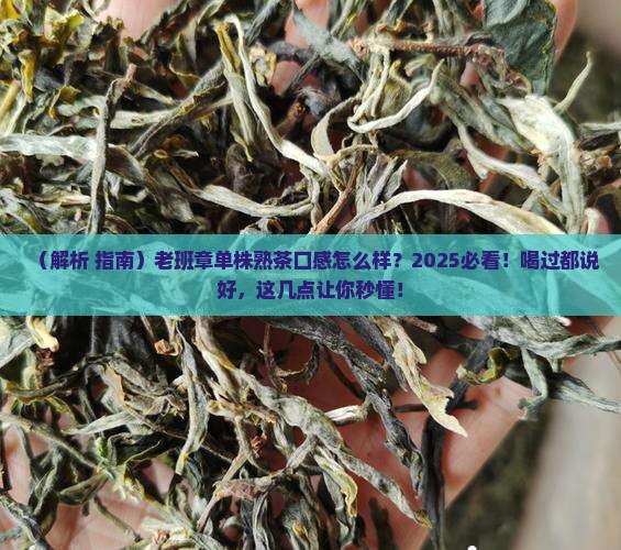 老班章单株熟茶口感