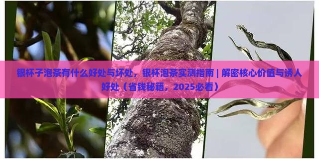 银杯子泡茶有什么好处与坏处 银杯子泡茶有什么好处与坏处