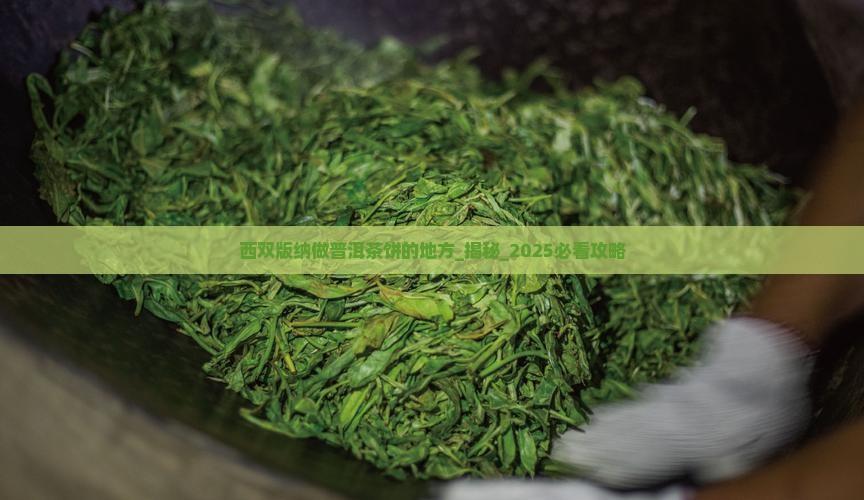 西双版纳做普洱茶饼的地方