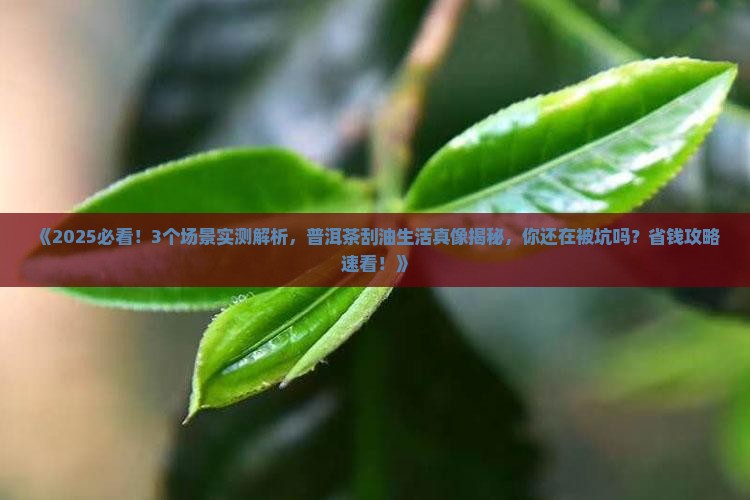普洱茶刮油生活