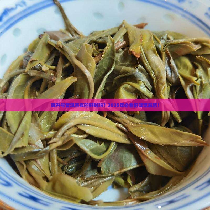 陈升号普洱茶味道