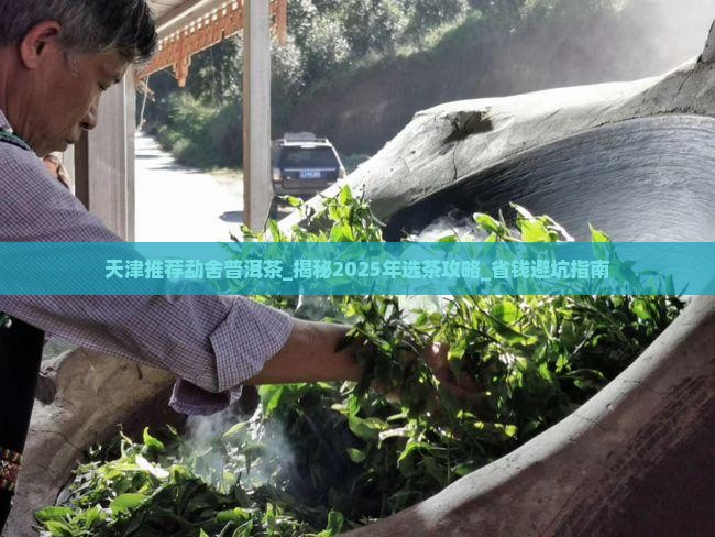 天津推荐勐舍普洱茶