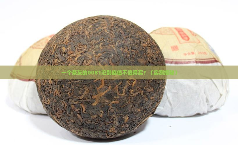 澜沧古茶0081沱