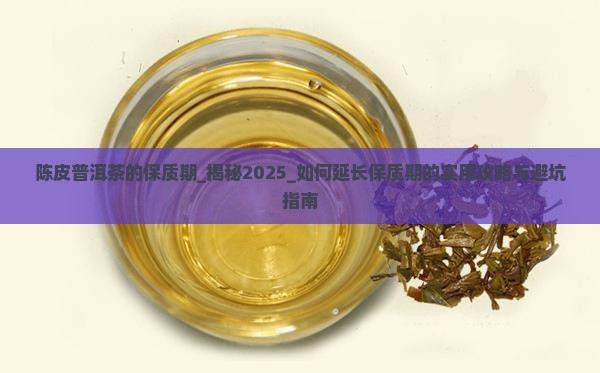 陈皮普洱茶的保质期