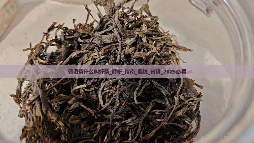 普洱茶什么叫好茶 普洱茶什么叫好茶