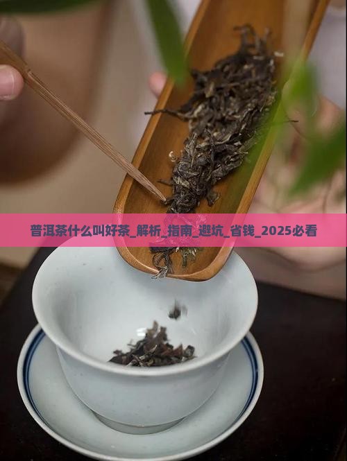 普洱茶什么叫好茶 普洱茶什么叫好茶