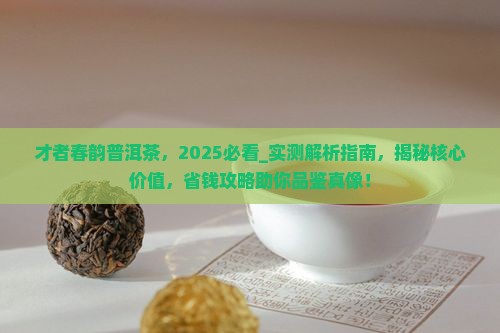 才者春韵普洱茶