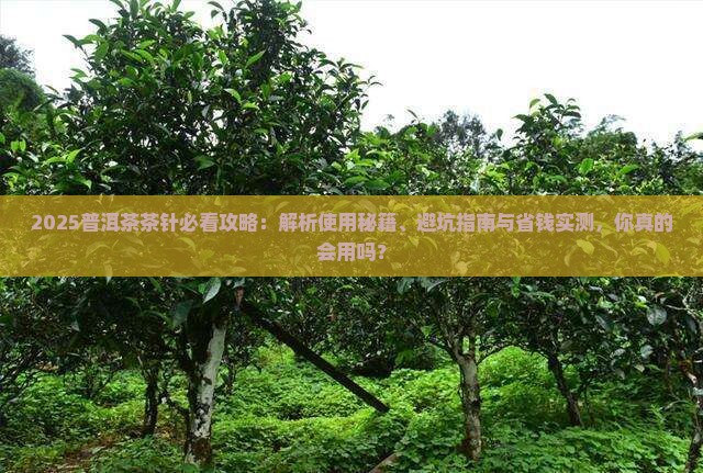 普洱茶茶针怎么用