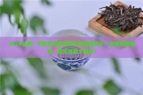 平远古树普洱茶价格多少