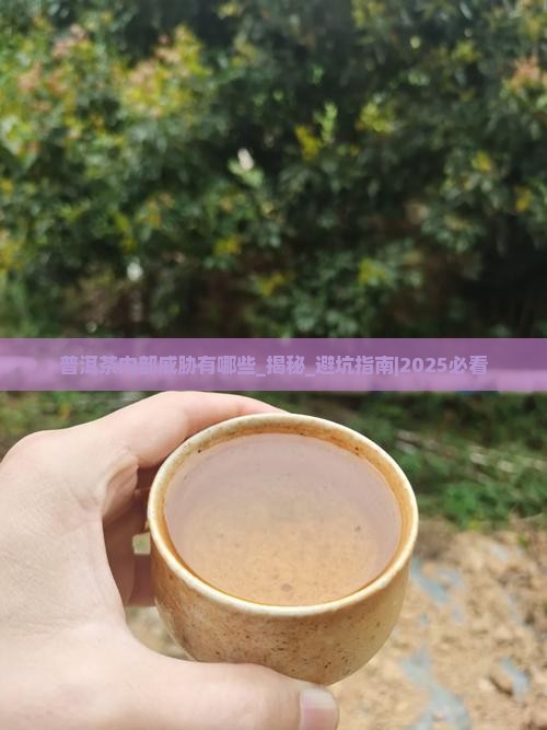 普洱茶内部威胁有哪些