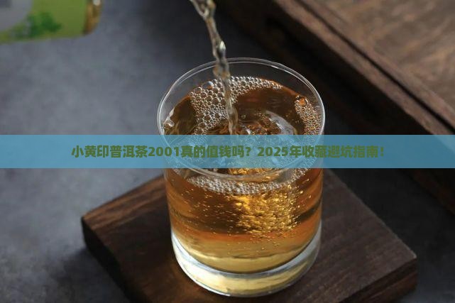 小黄印普洱茶2001