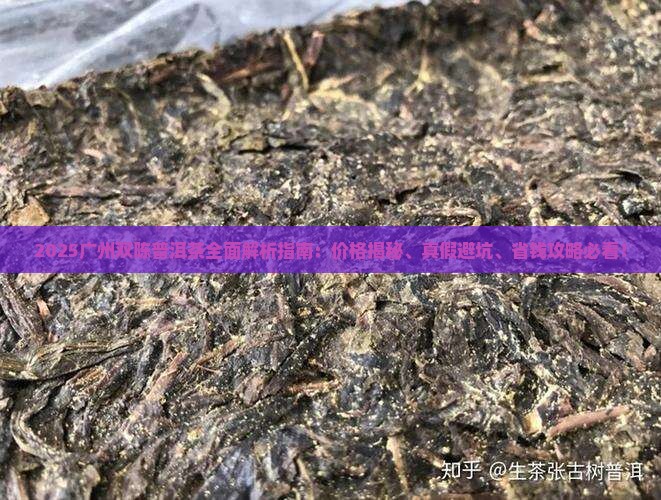 广州双陈普洱茶