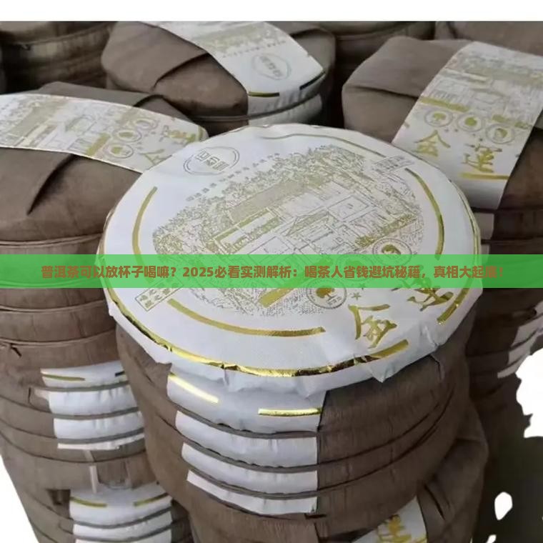 普洱茶可以放杯子喝嘛