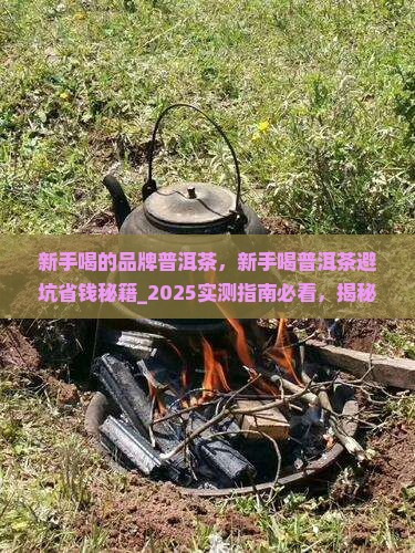 新手喝的品牌普洱茶
