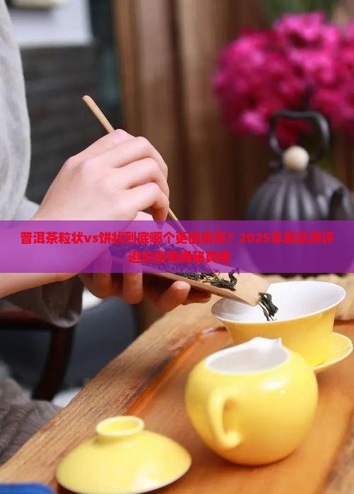 普洱茶粒状与饼状哪个好