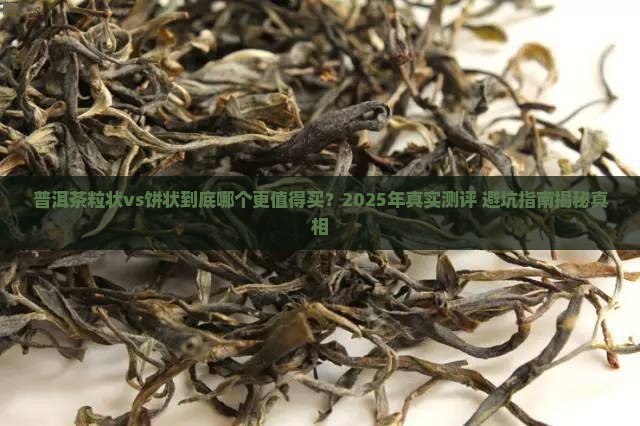 普洱茶粒状与饼状哪个好