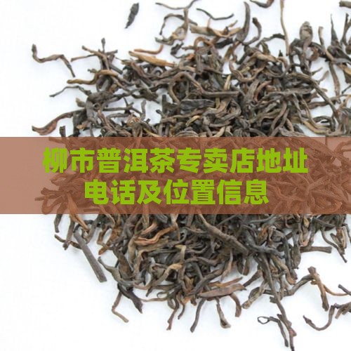 柳市普洱茶专卖店