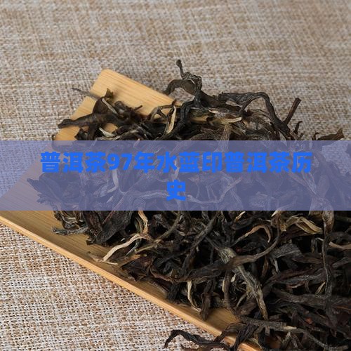 97年水蓝印普洱茶历史