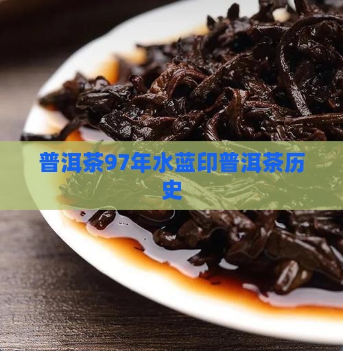 97年水蓝印普洱茶历史