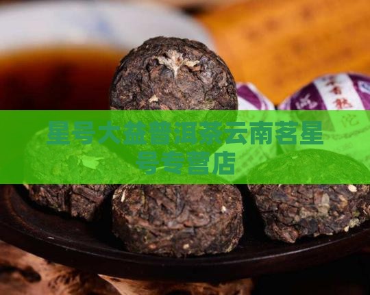 大益茶专营店云南茗星号普洱茶