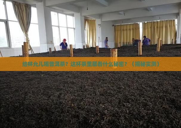 给林允儿喝普洱茶