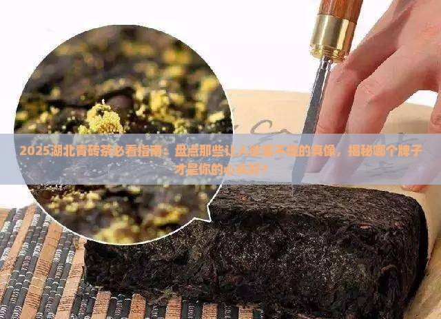 湖北青砖茶哪个牌子好