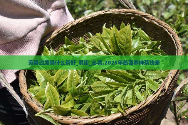 劳累过度喝什么茶好