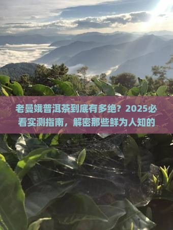 老曼娥普洱茶的特点是