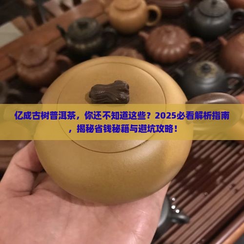 亿成古树普洱茶