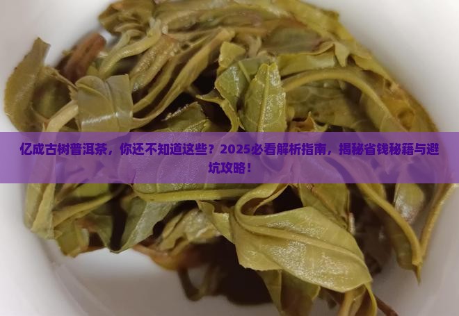 亿成古树普洱茶