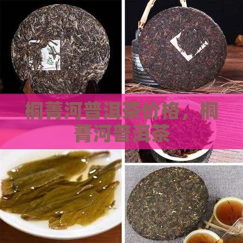 桐菁河普洱茶价格