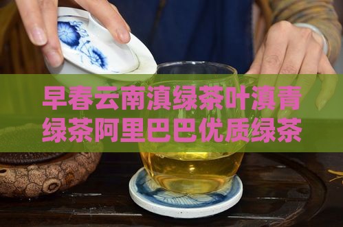 早春云南滇绿普洱茶