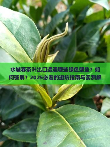 水城春茶叶的出口绿色壁垒