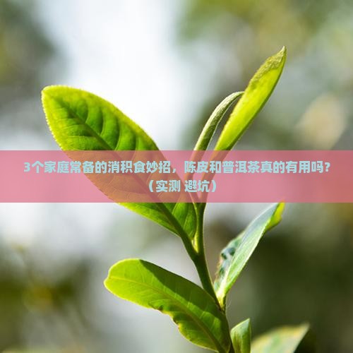 陈皮和普洱茶消积食吗