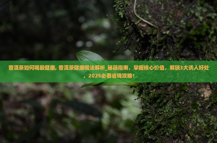 普洱茶如何喝最健康