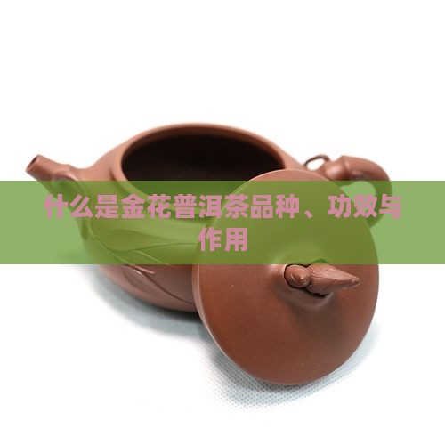 什么是金花普洱茶