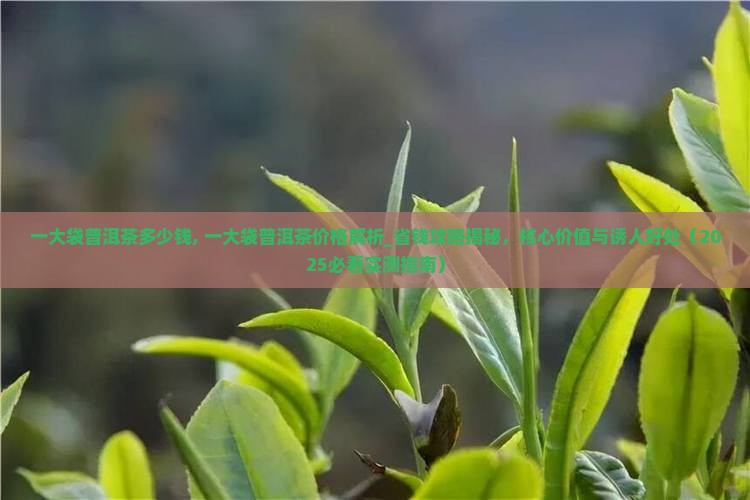 一大袋普洱茶多少钱 一大袋普洱茶多少钱