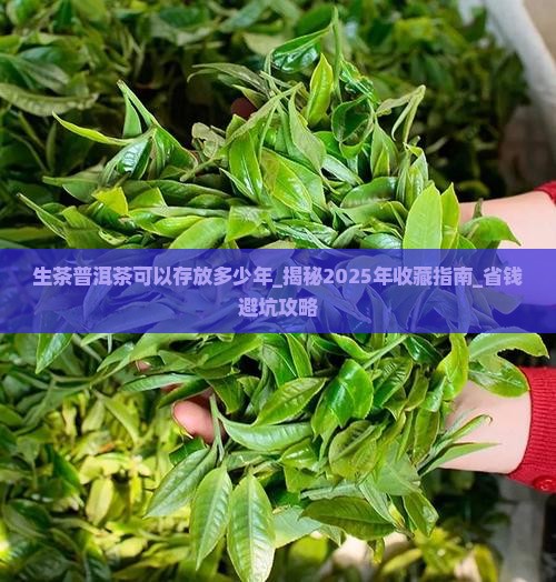 生茶普洱茶可以存放多少年