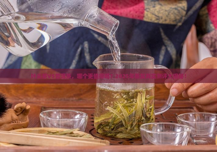 叶尖茶和普洱茶哪个好