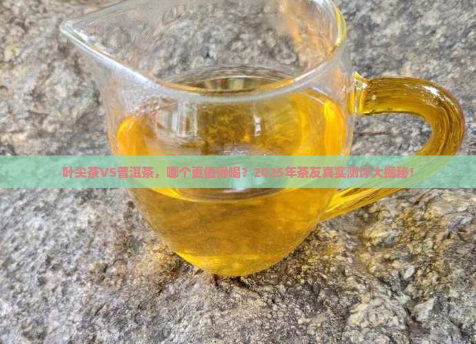 叶尖茶和普洱茶哪个好