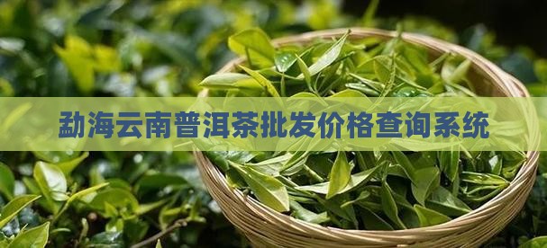 勐海普洱茶价格查询系统